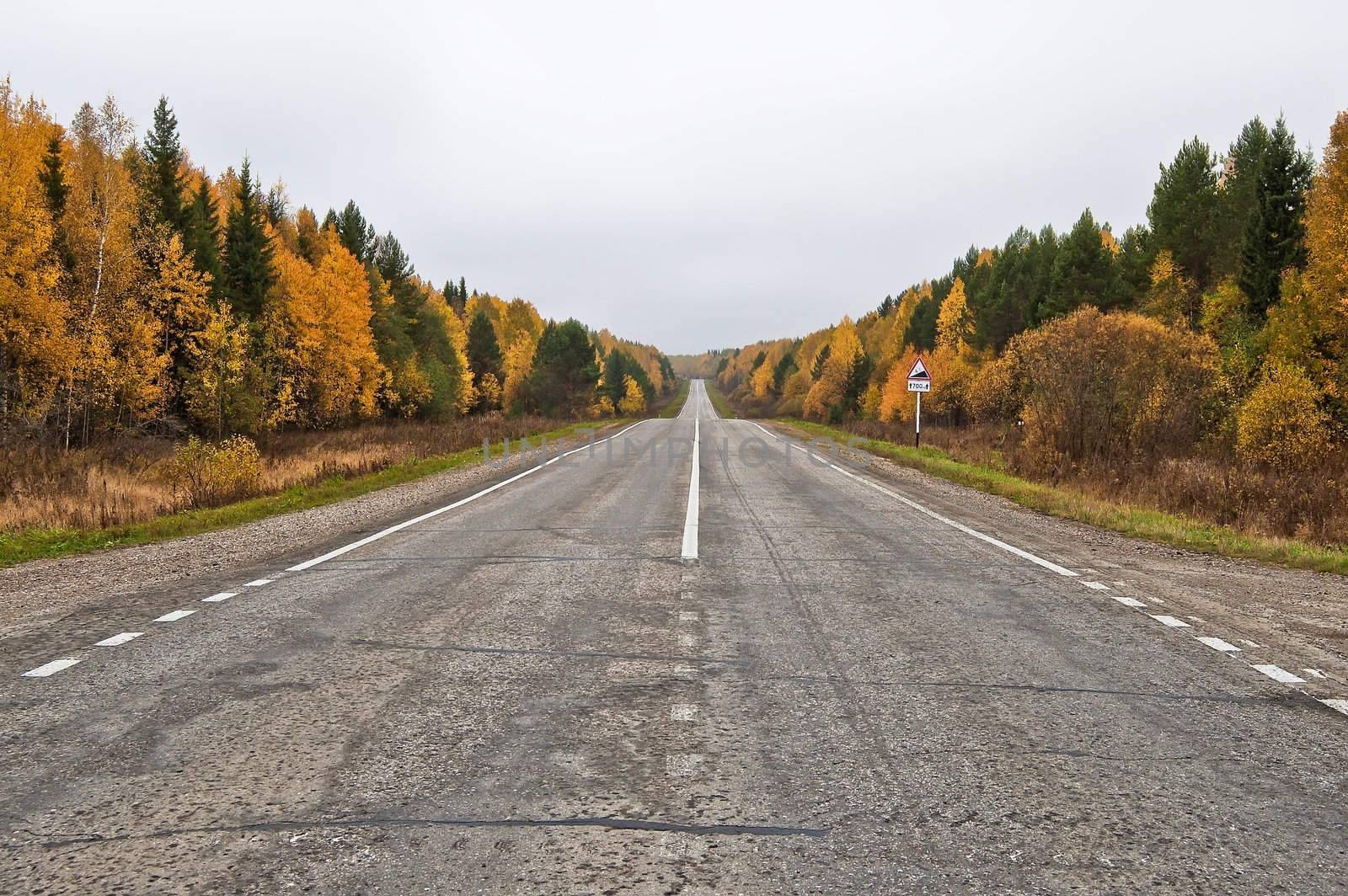 Autumn road by rezkrr