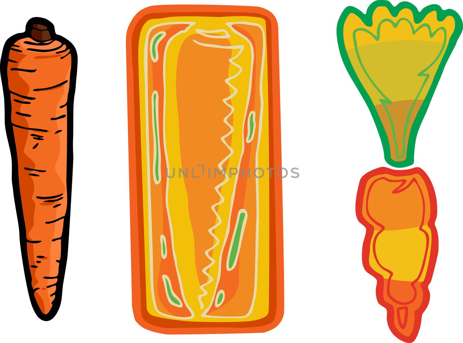 Three cartoon variations of a typical long carrot