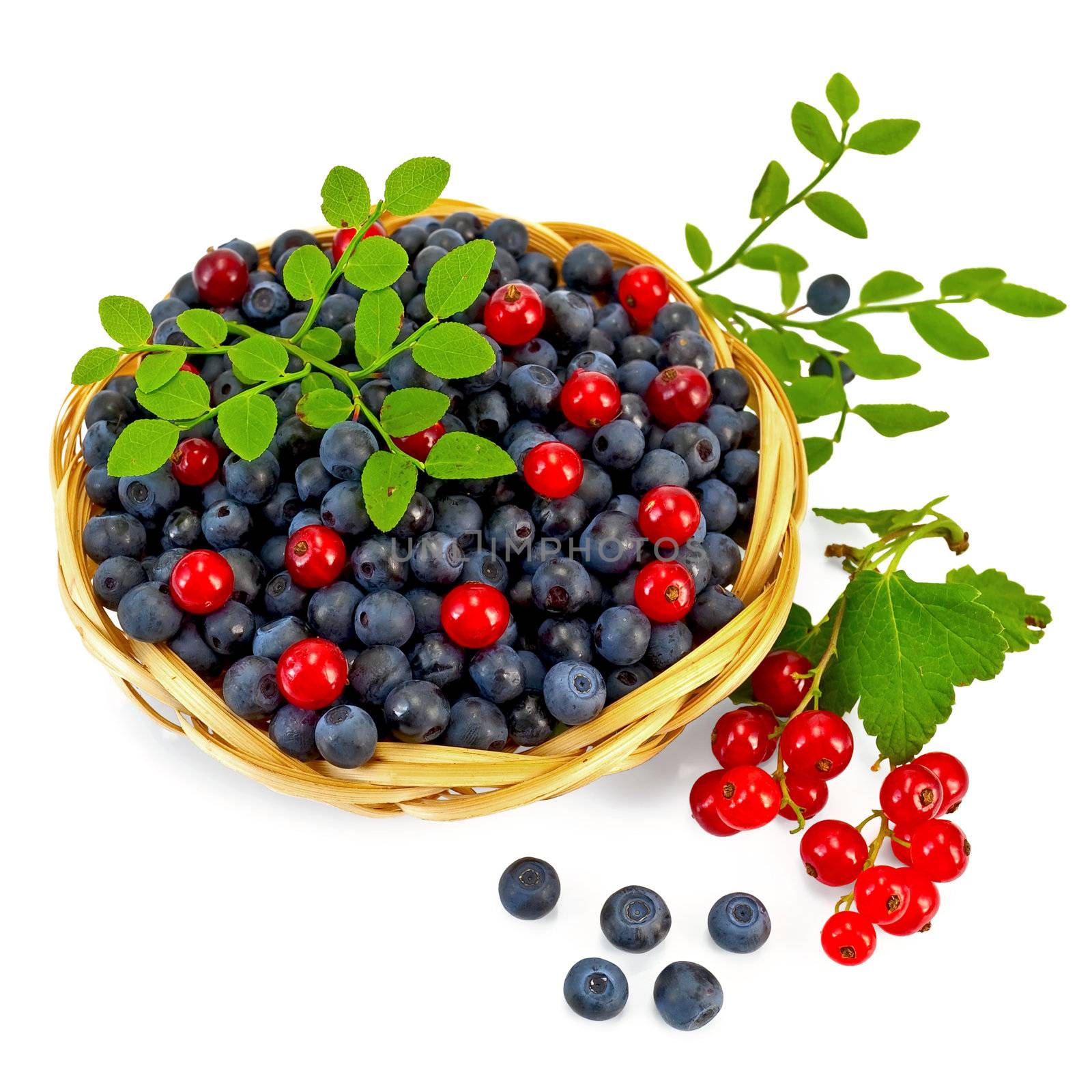 Blueberries with red currants by rezkrr