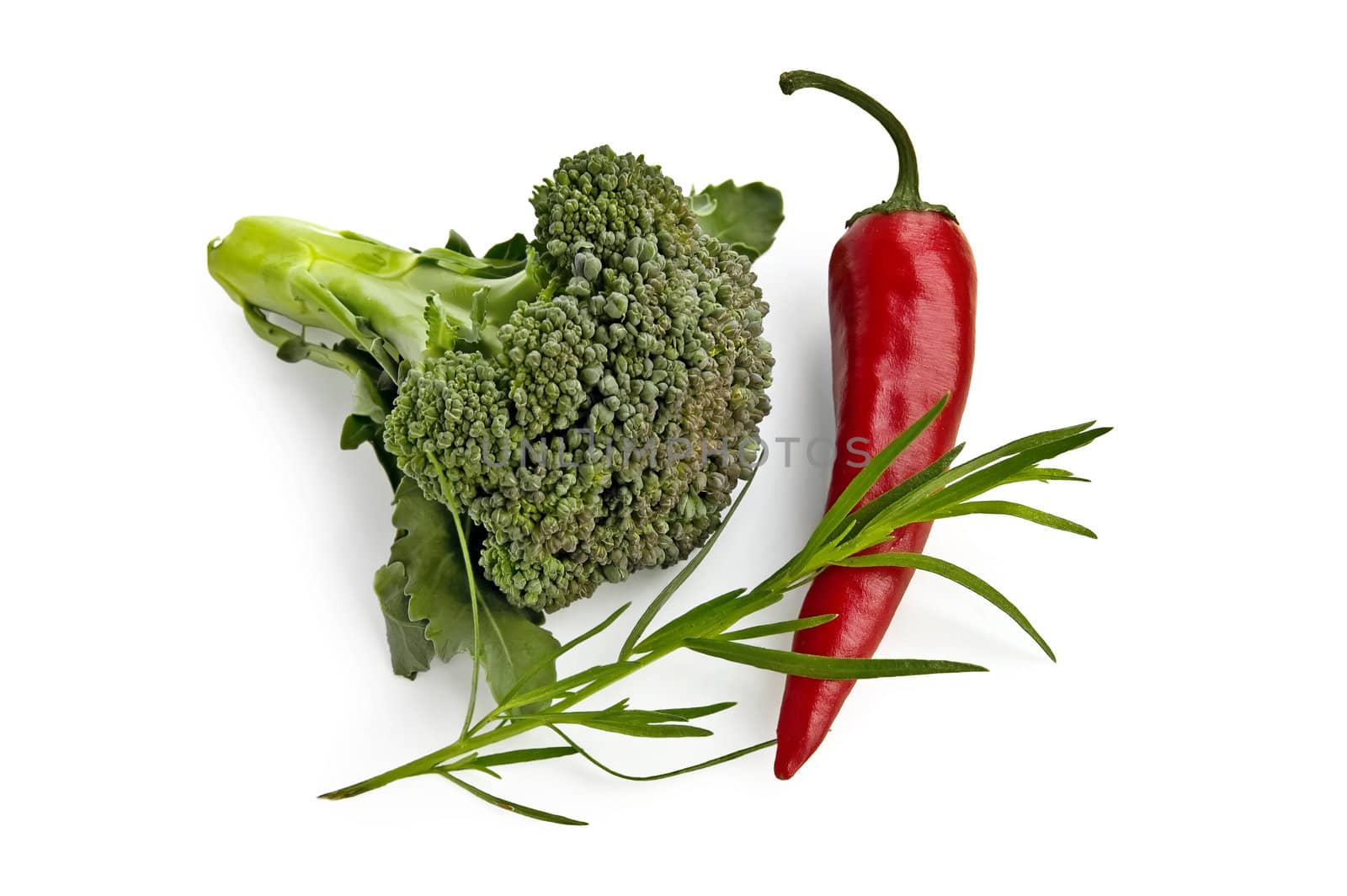 Broccoli, red hot pepper, a sprig of tarragon isolated on a white background