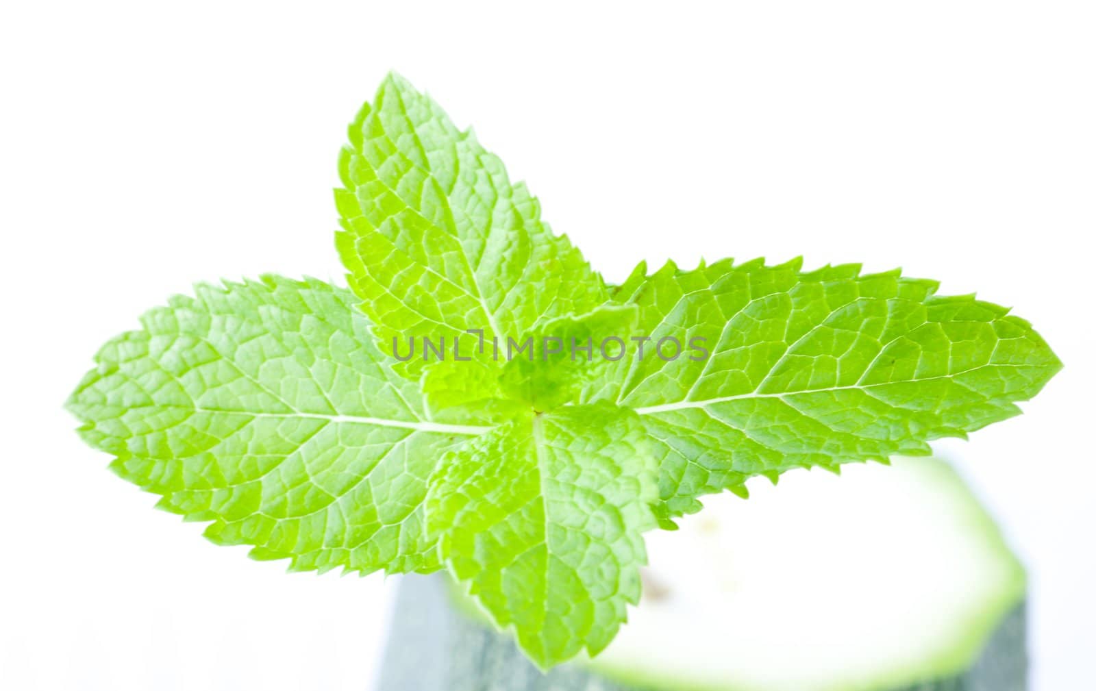 Bright green fresh mint leaves, close up, on a light background