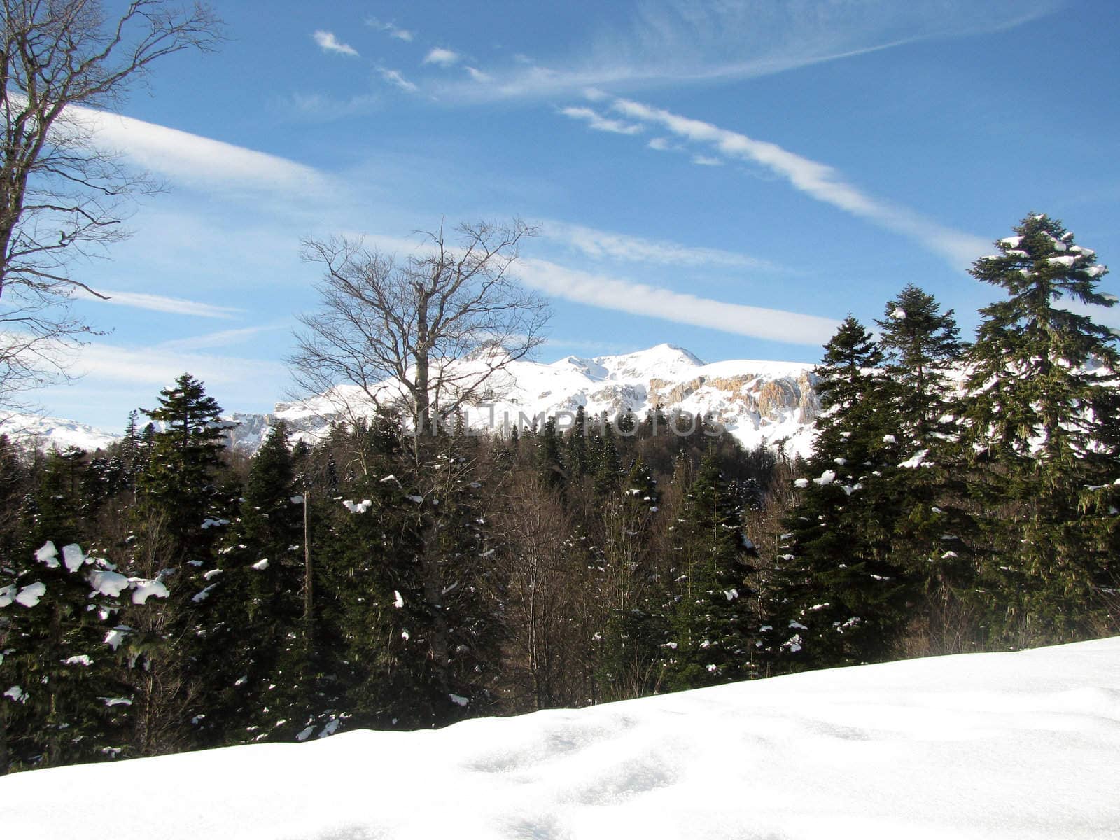 The main Caucasian ridge; rocks; a relief; a landscape; a hill; a panorama; high mountains; peaks; caucasus; top