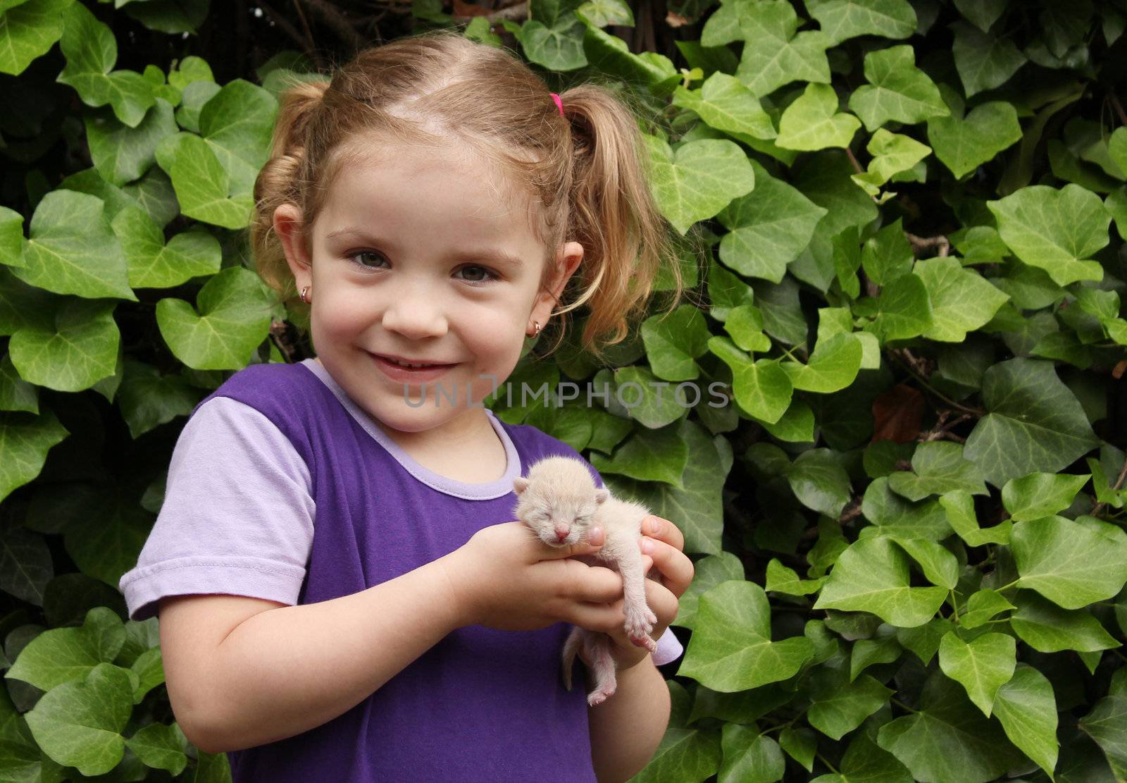 little girl holding three day old cat by goce