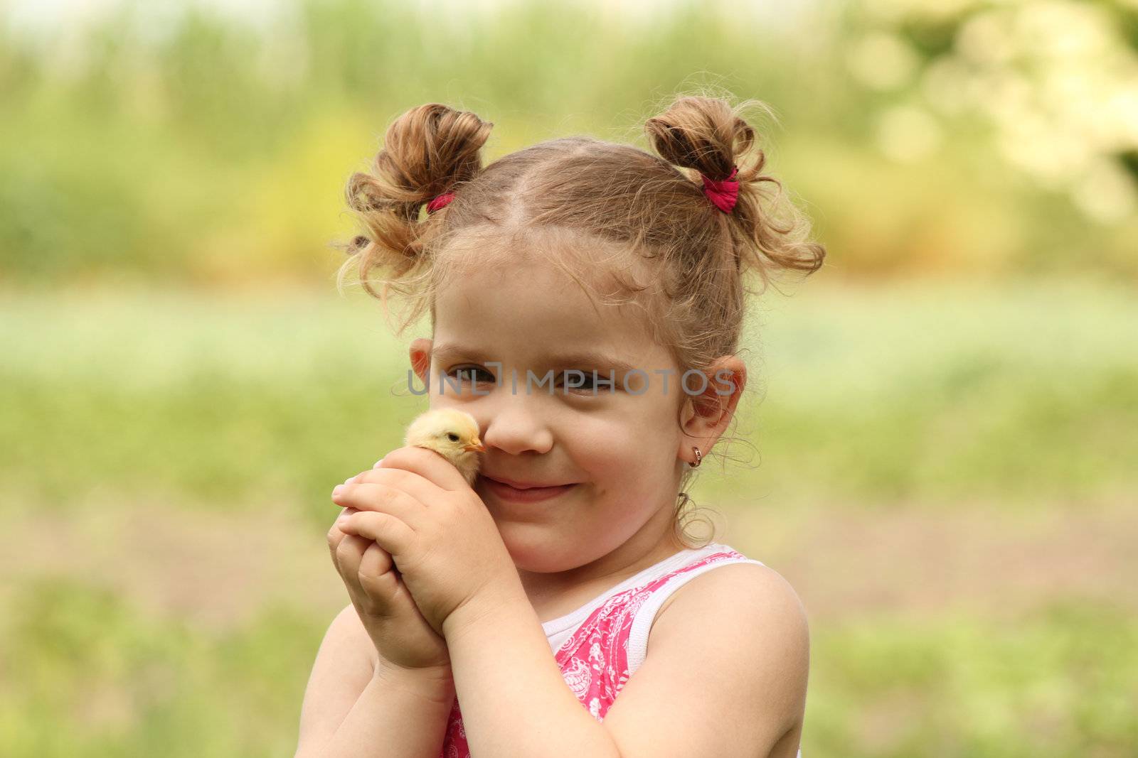 young girl holding little chicken by goce