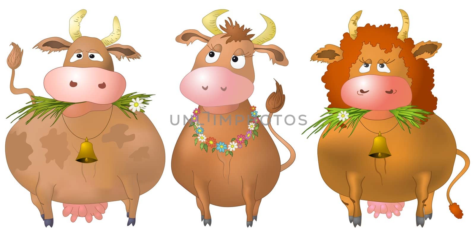 Three thick kind cows eat a green grass, isolated