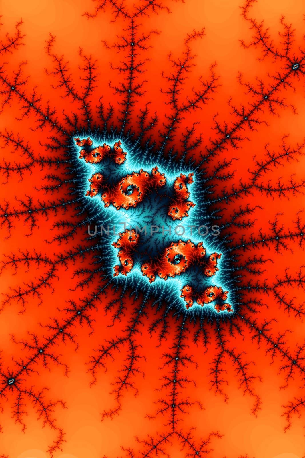 An image of a typical fractal graphic