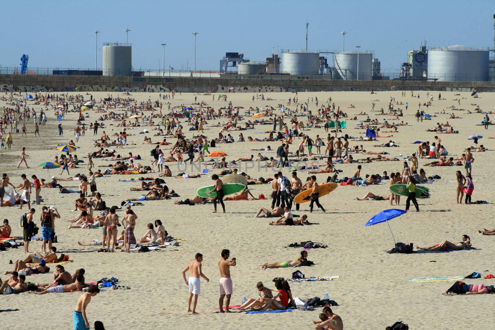 crowded beach in the summer