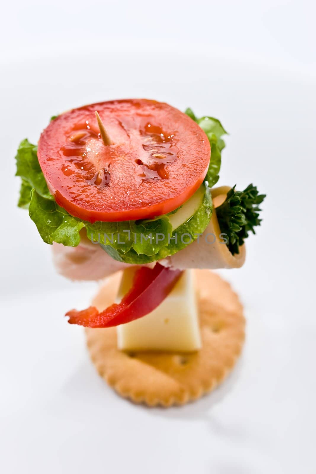 food theme: cracker with ham, cheese and vegetables on the plate