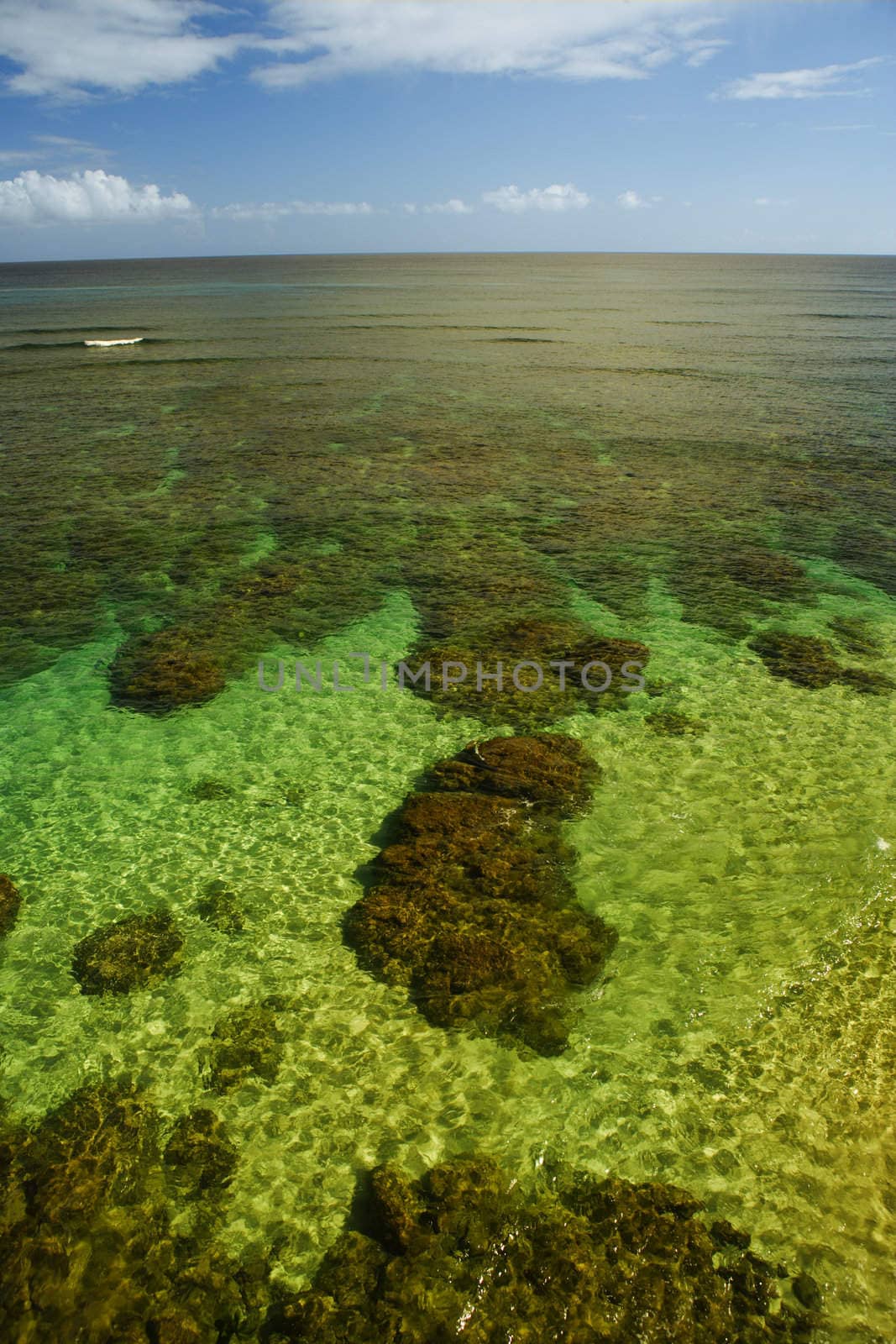 coral reef Hanalei Bay Kauai Hawaii by hotflash2001