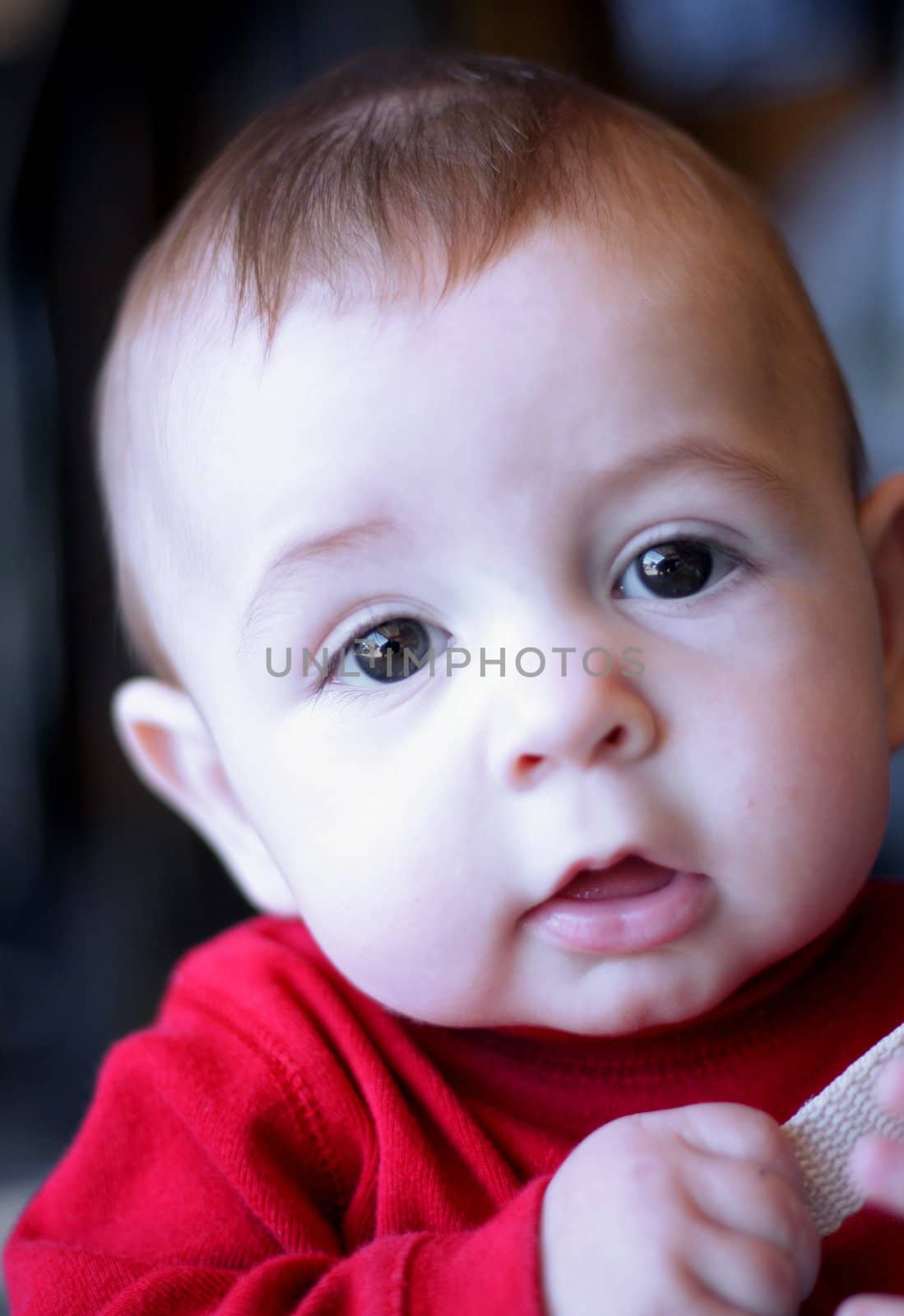 Adorable six month old baby boy looking intently at camera.