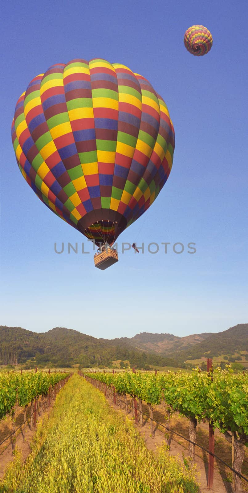 rising hot air balloon over Napa Valley California by hotflash2001