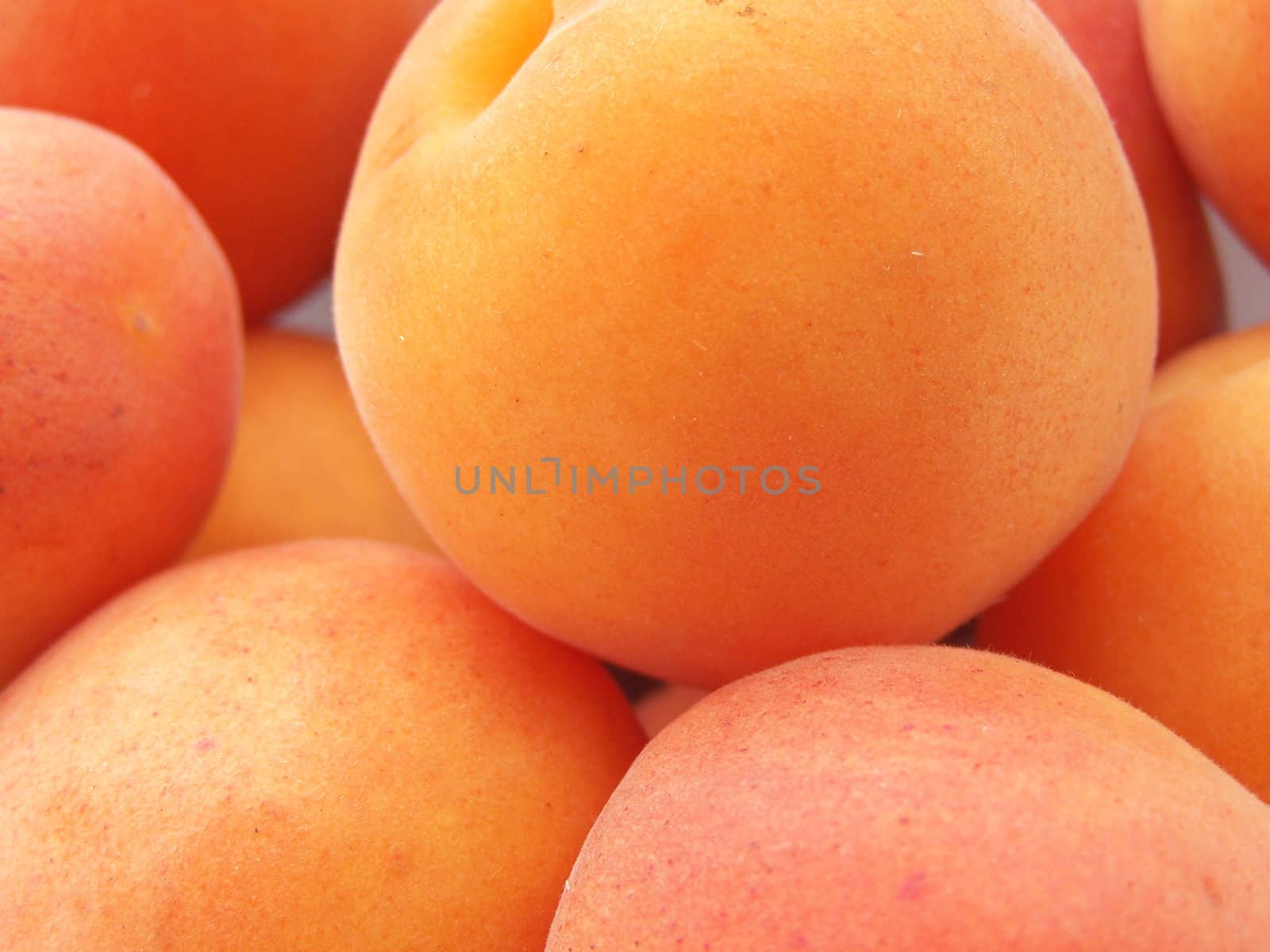 Close up of the fresh apricots