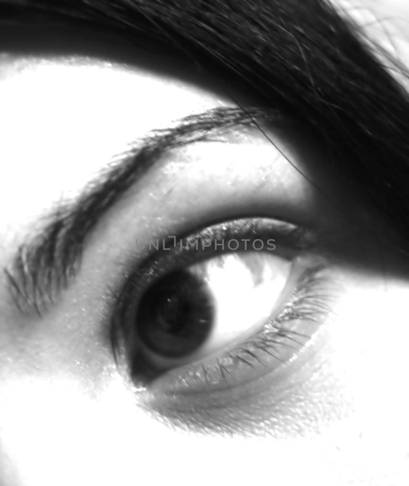 closeup of a girl's eye in black and white