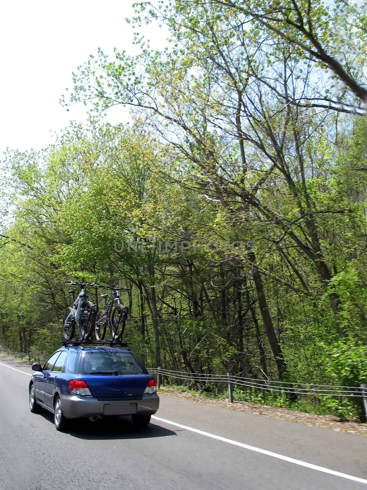 Bikes On a Car by graficallyminded