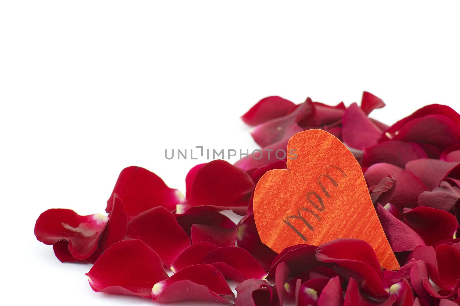 rose petasl and heart