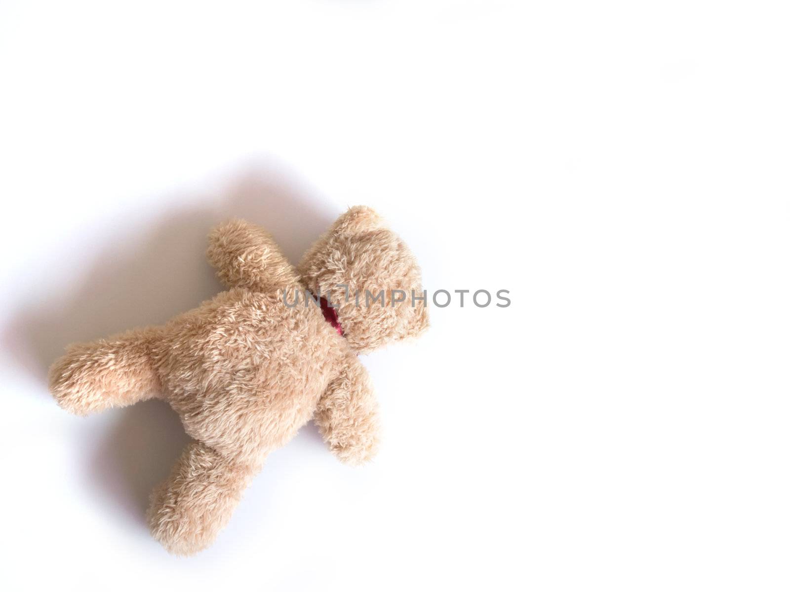 close up of fallen teddy bear