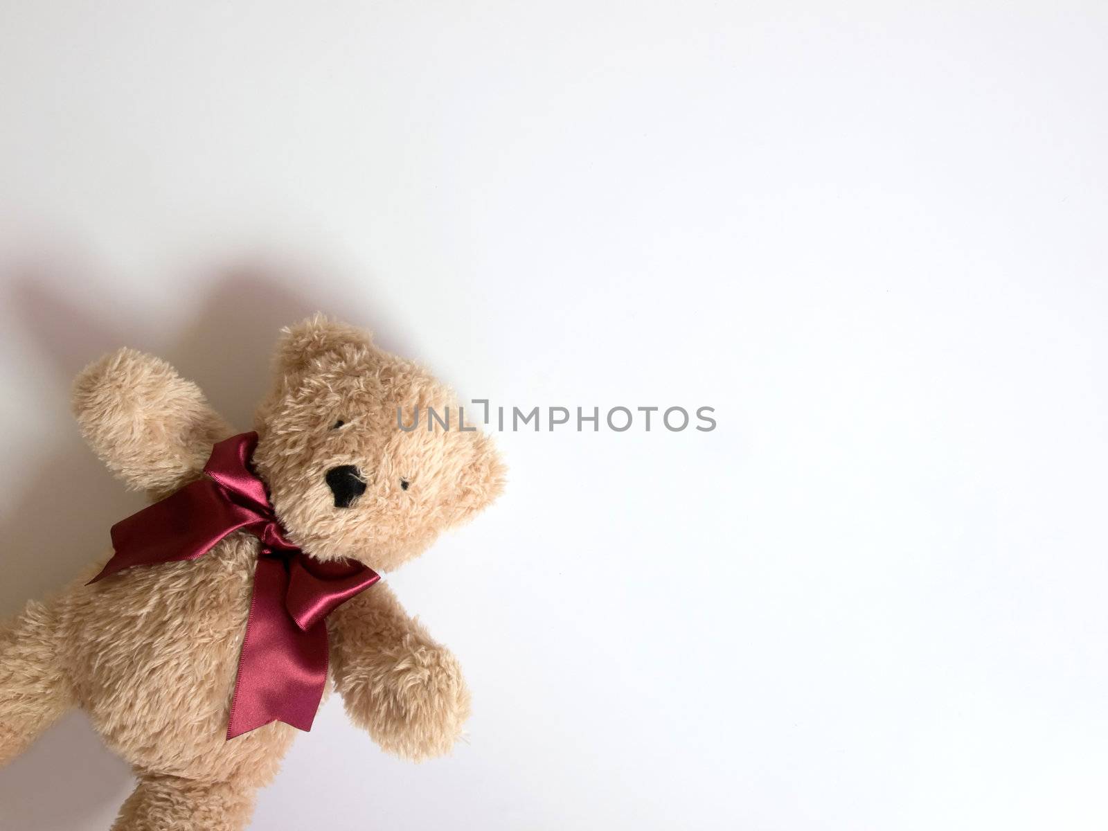 teddy bear with red ribbons
