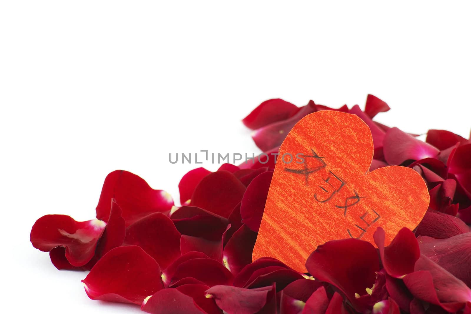 rose petals and heart