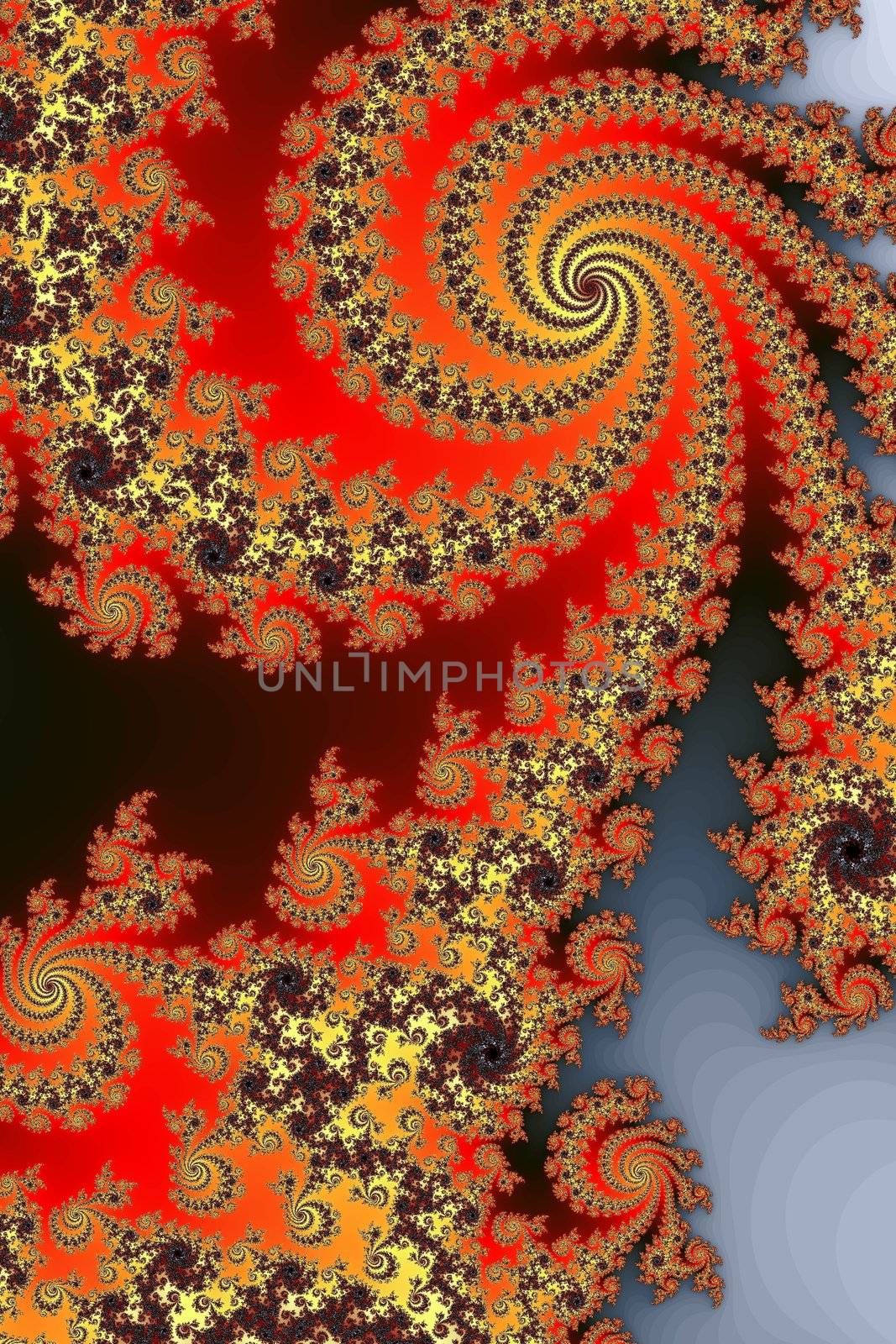 An image of a typical fractal graphic