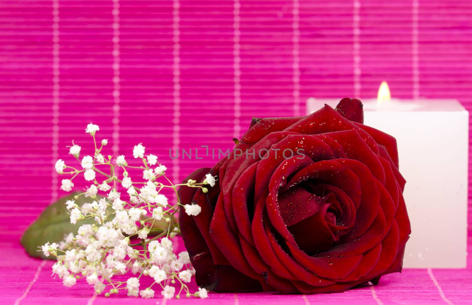 a red rose and a white candle on pink background
