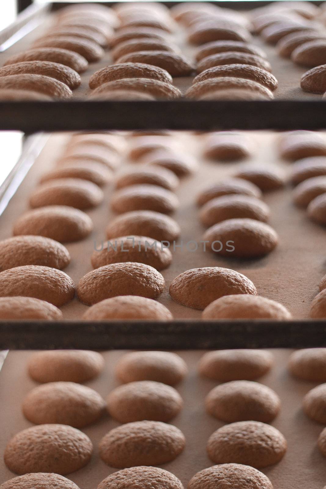Cookies still on the oven tray, just baked at the local Maltese bakery in Mgarr