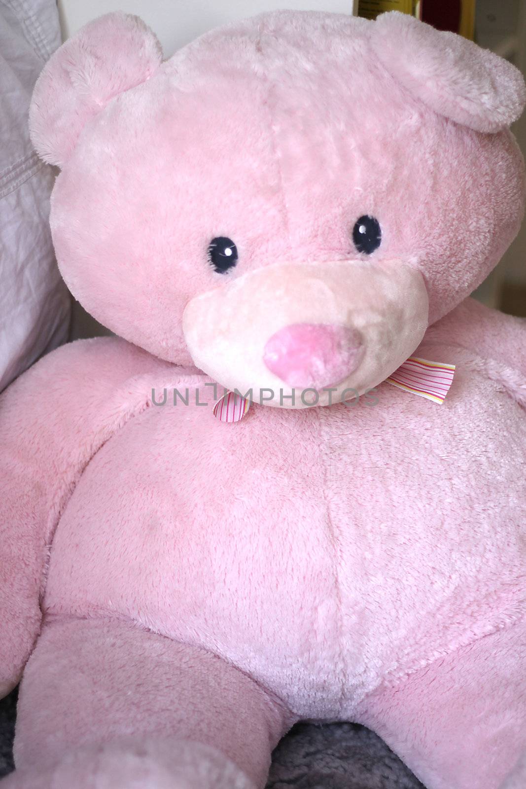 Close up of a large pink teddy bear soft toy