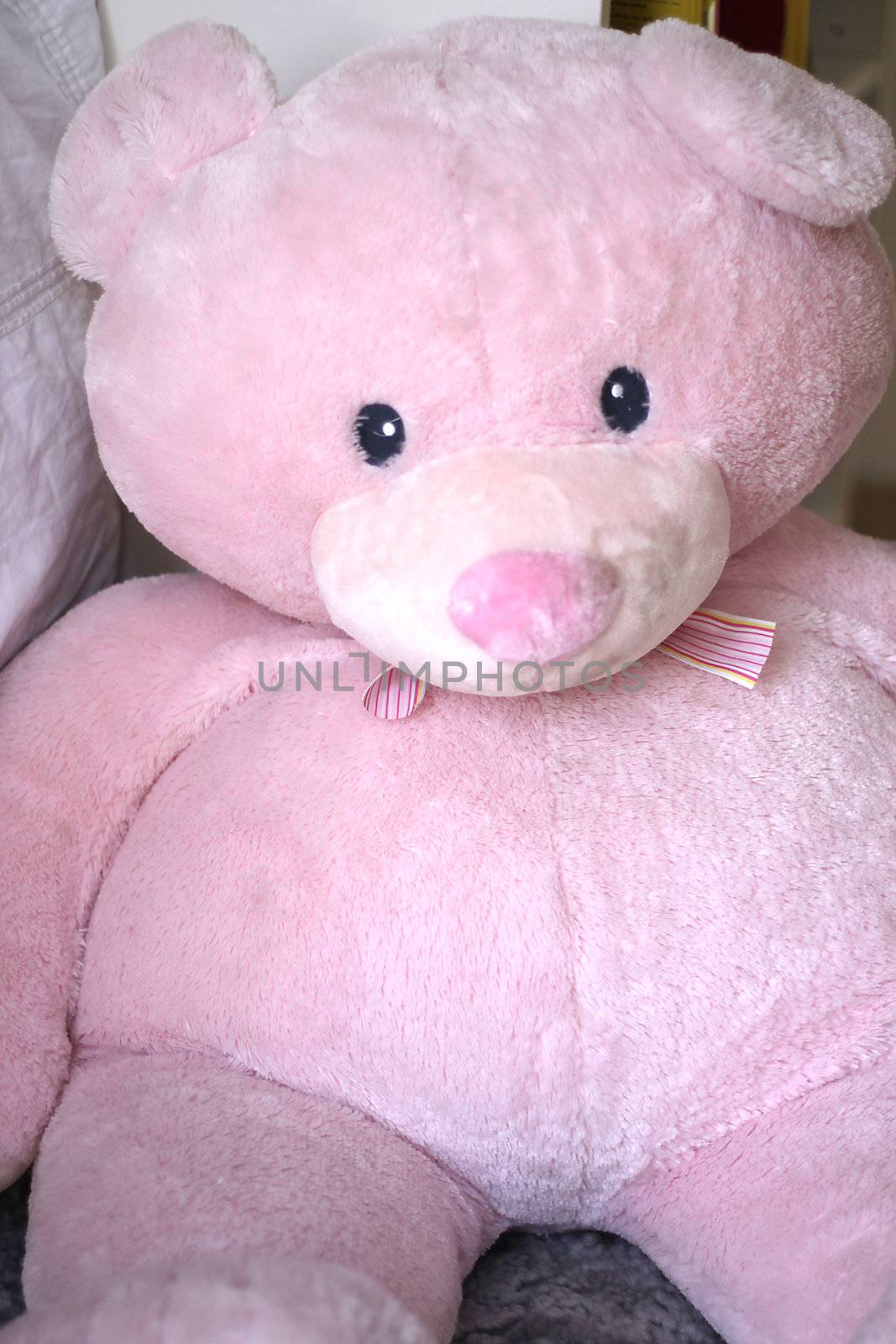 Close up of a large pink teddy bear soft toy