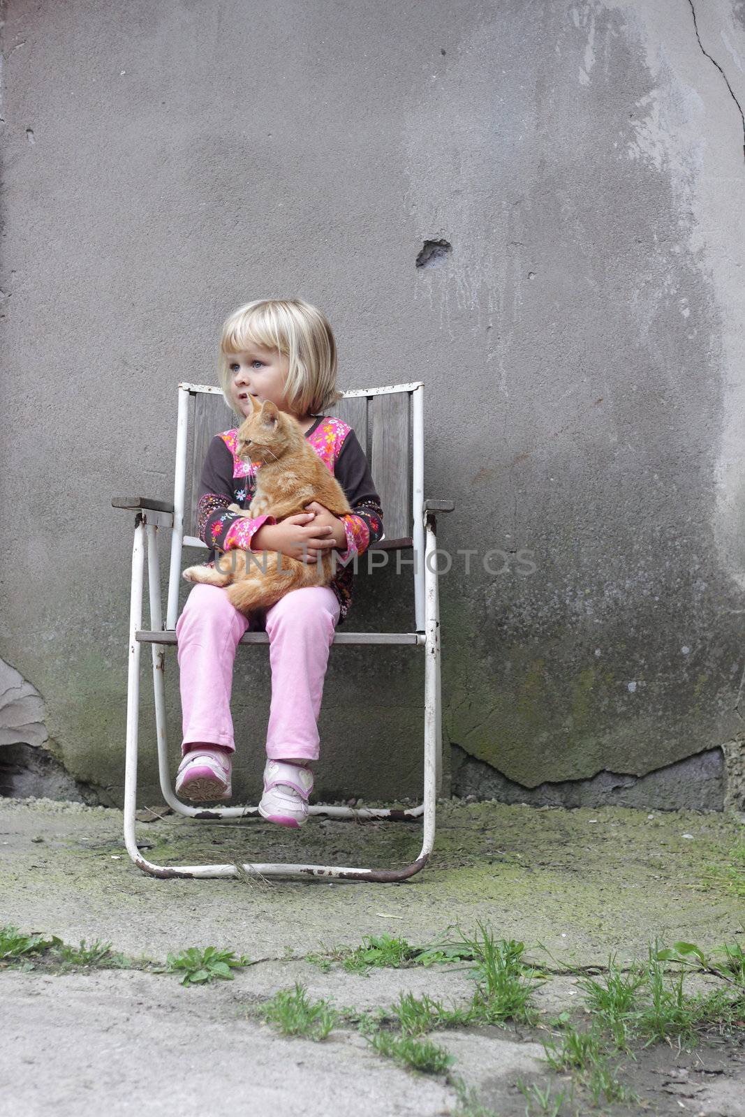 Girl sitting on a camping chair holding a ginger cat. Space for text