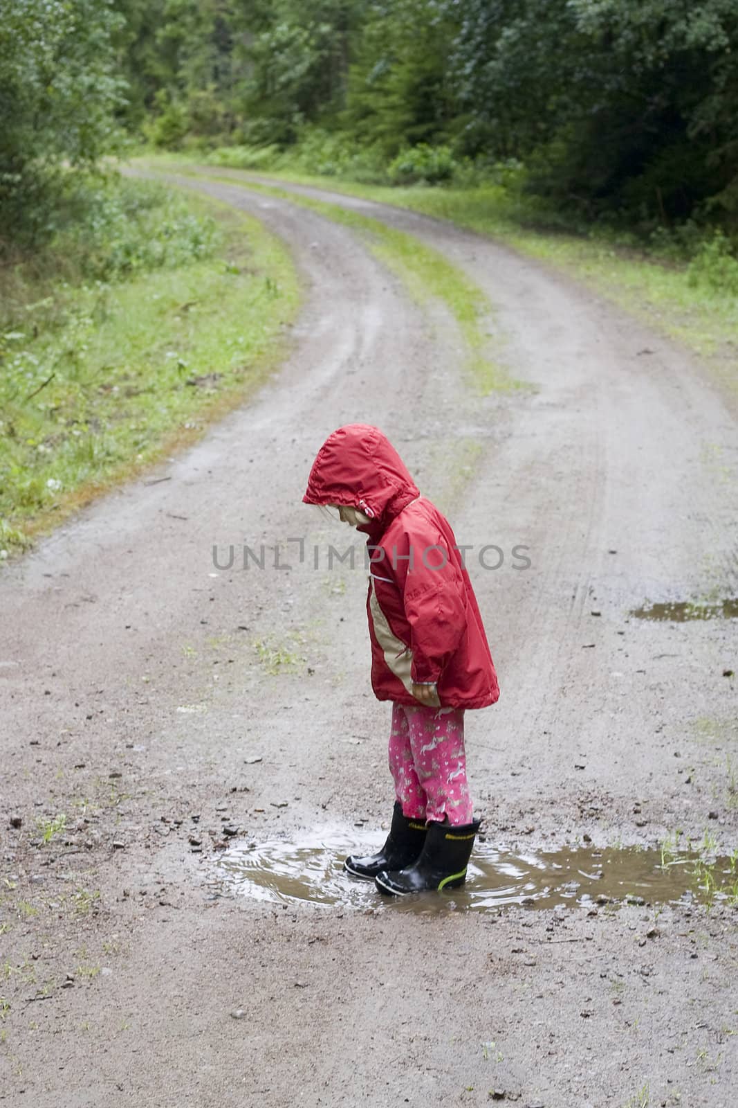 A little 4 year old girl is standing in a rain pu ddle on a country road in the rain