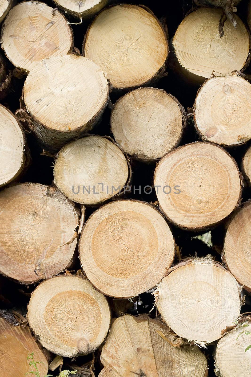 Pile of timber