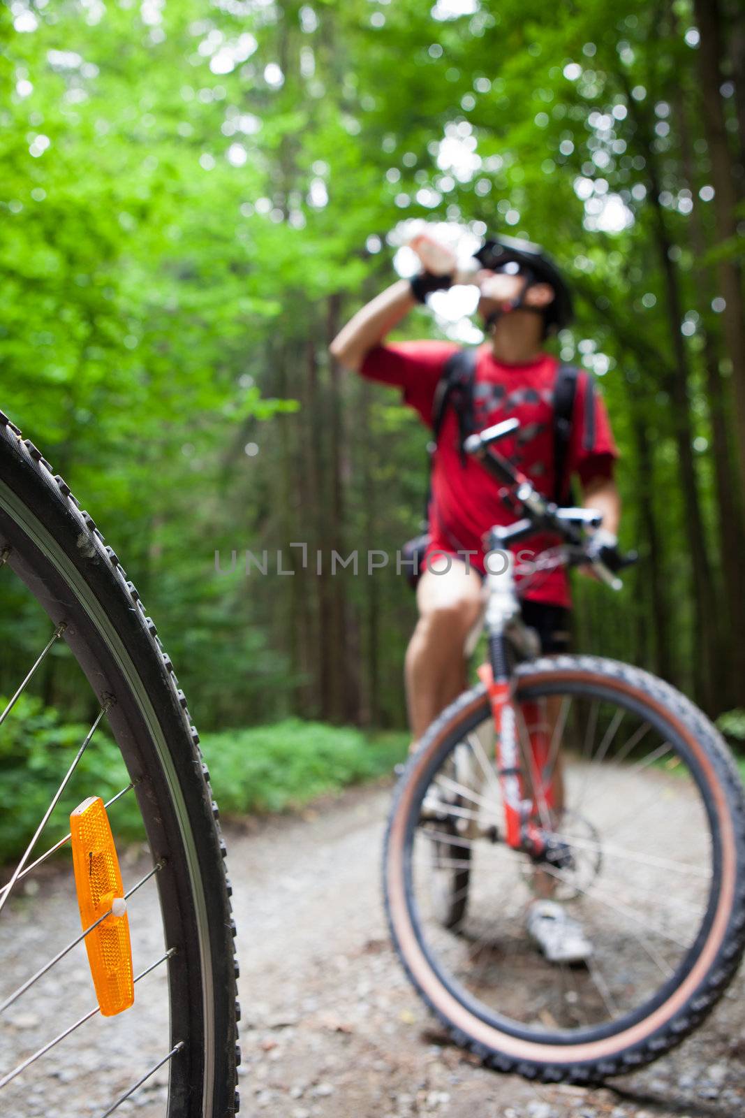 Mountain biking in a forest - bikers on a forest biking trail (shallow DOF, focus on the bike wheel in the foreground)