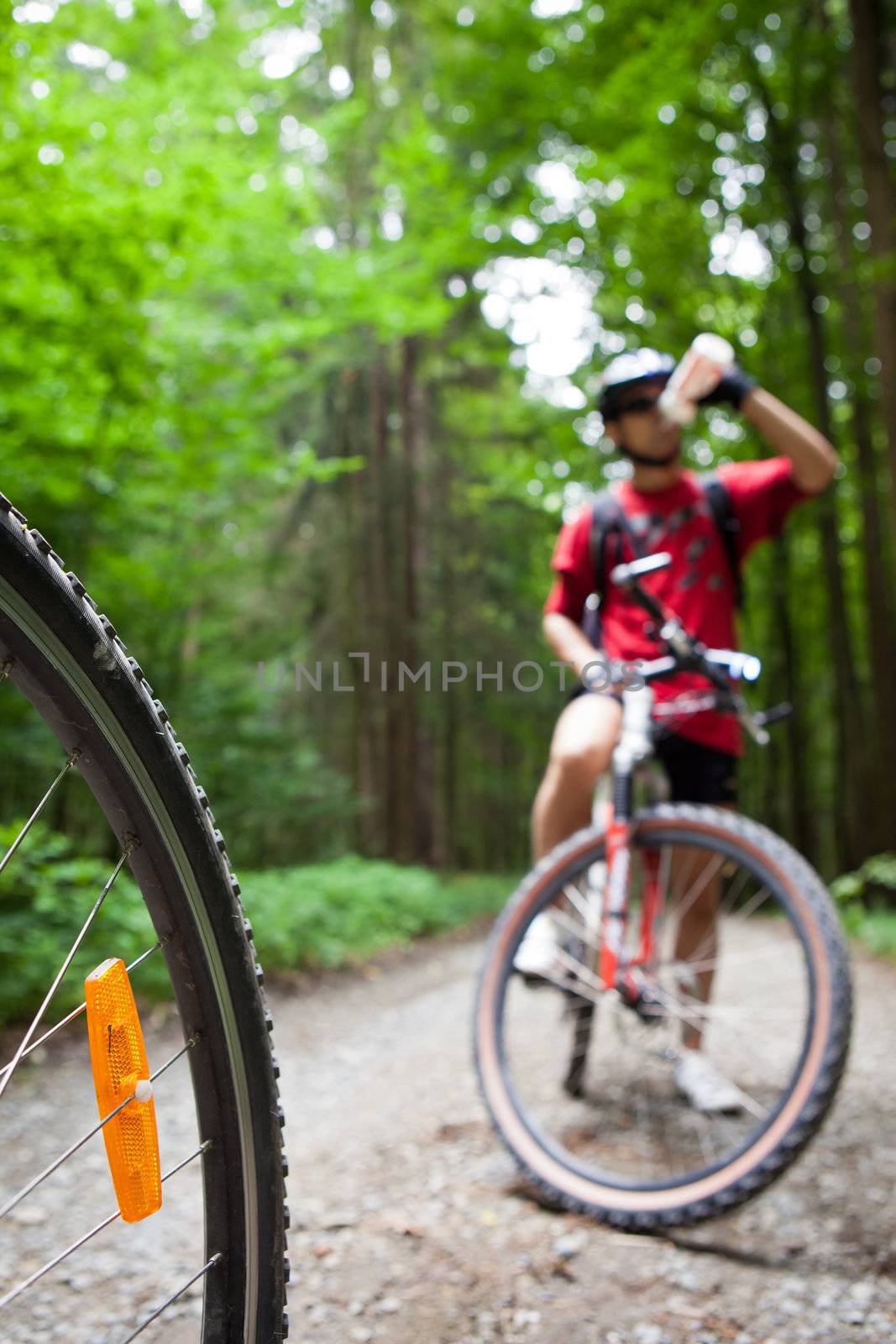 Mountain biking in a forest - bikers on a forest biking trail by viktor_cap