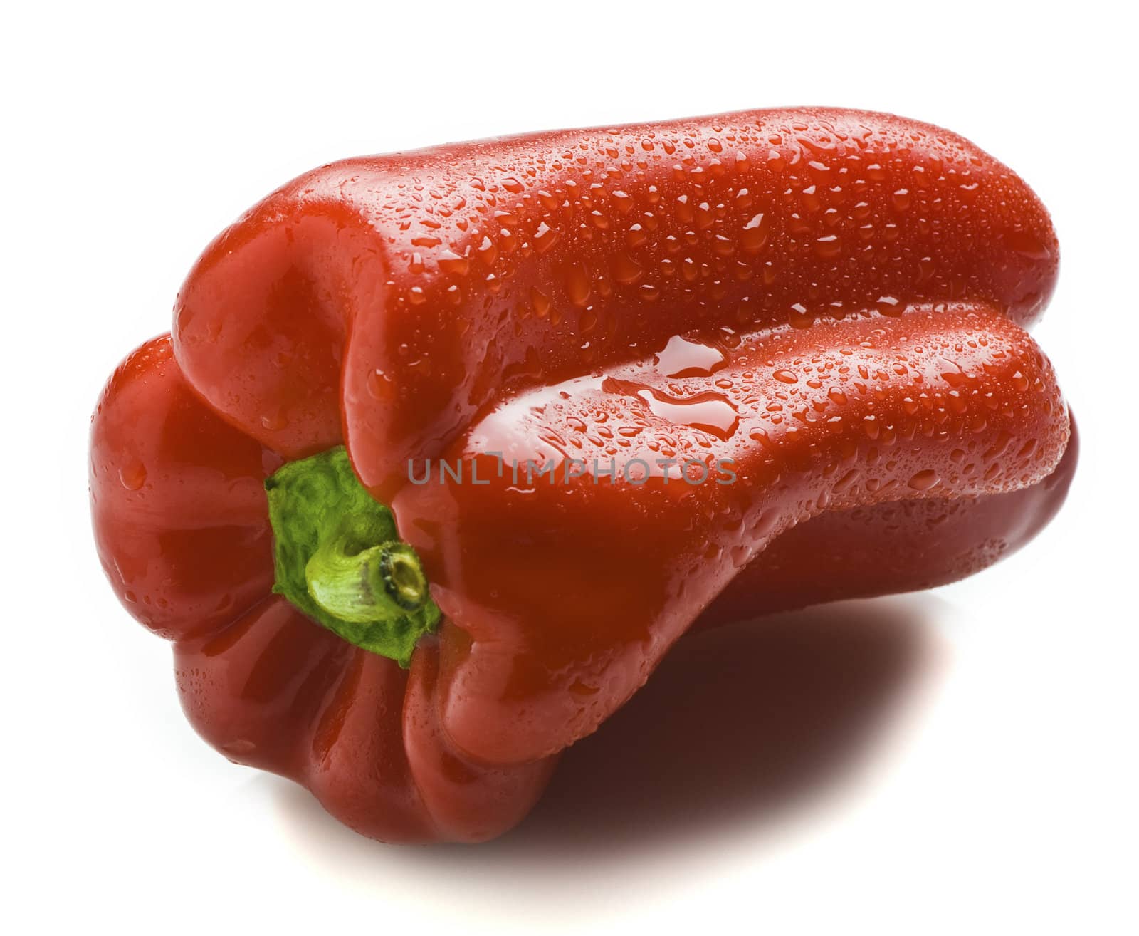 A whole red capsicum, with water droplets on it. Isolated on white.