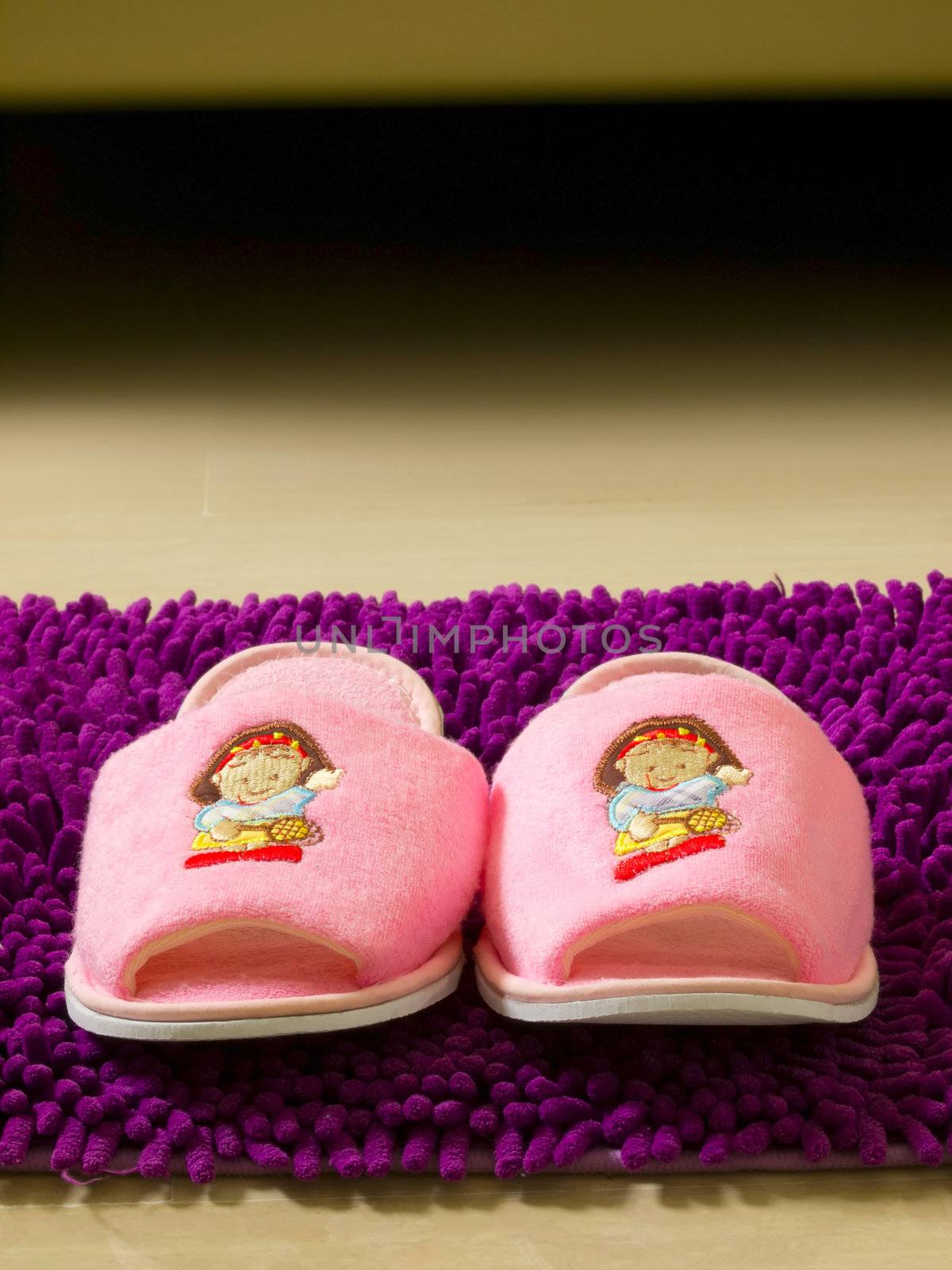 close up of a pair of bedroom slippers