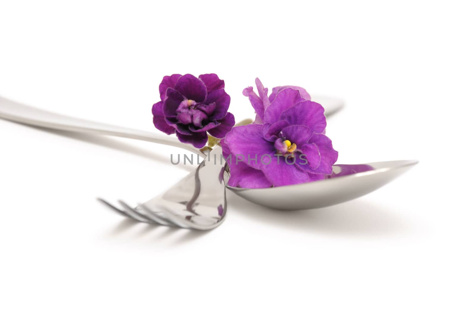 Spoon and fork with violets on a white background closeup