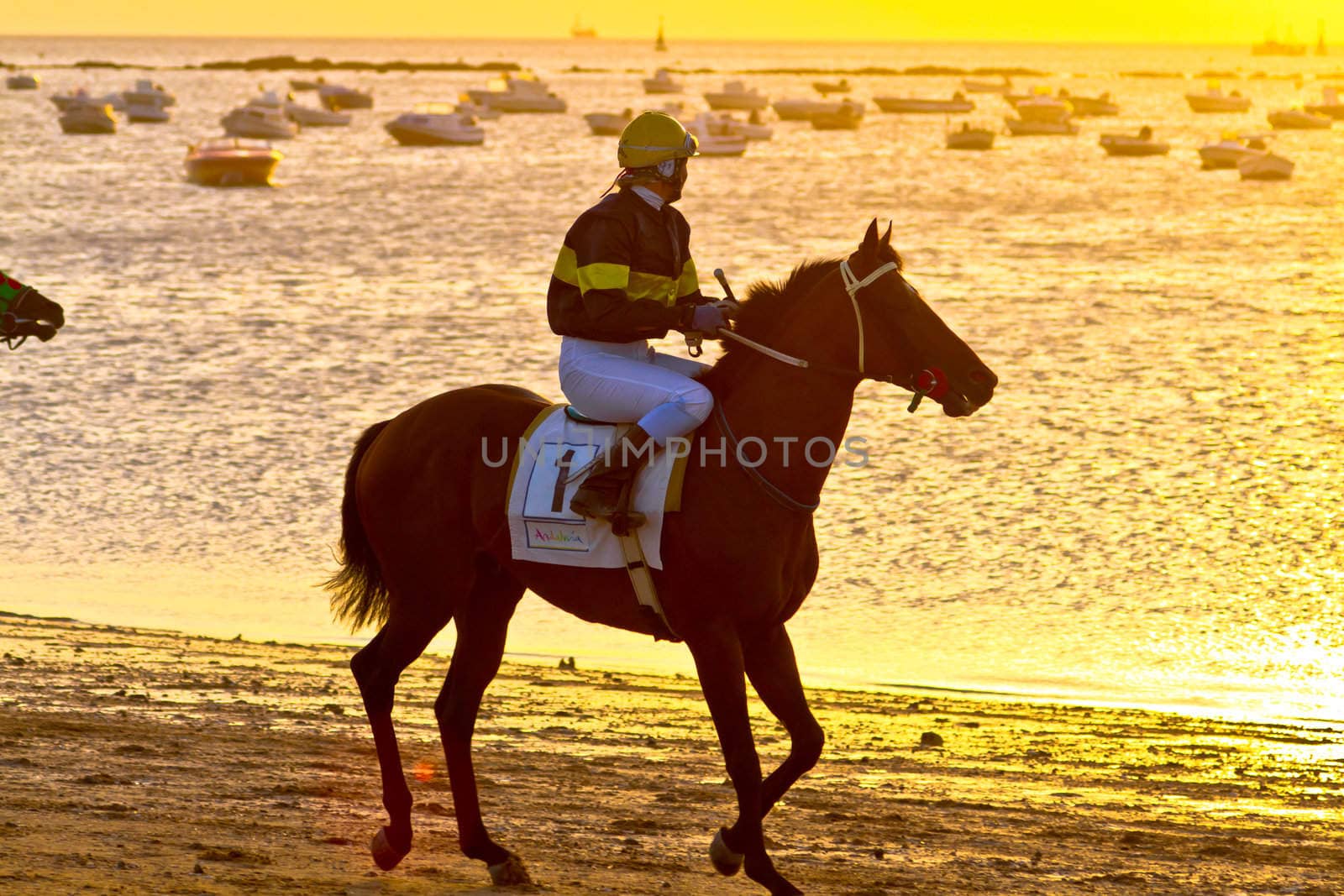 SANLUCAR DE BARRAMEDA, CADIZ, SPAIN - AUGUST 10: Unidentified rider at the start of race horses on Sanlucar de Barrameda beach on August 10, 2011 in Sanlucar de Barrameda, Cadiz, Spain.