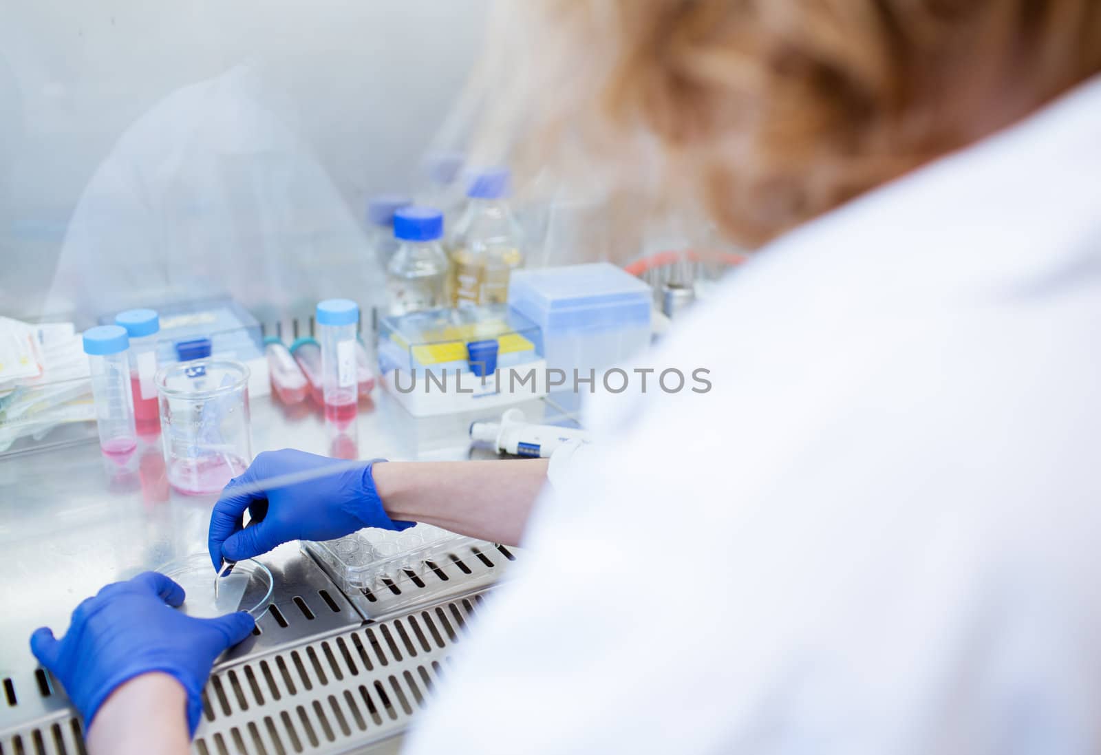 portrait of a female researcher doing research in a lab by viktor_cap