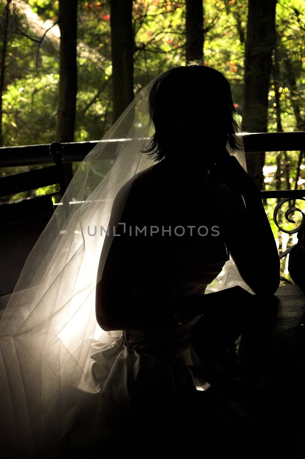 Beautiful Silhouette of bride against nature background 