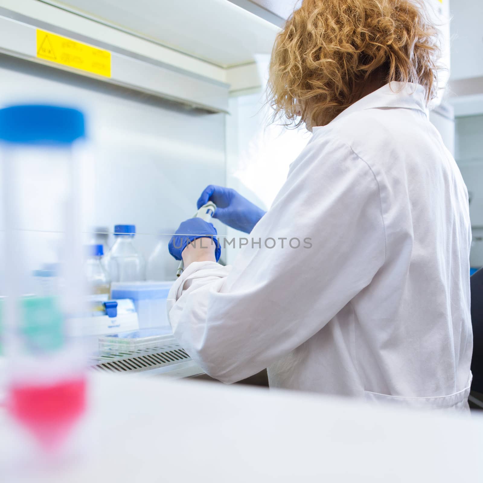 portrait of a female researcher doing research in a lab (shallow DOF; color toned image)