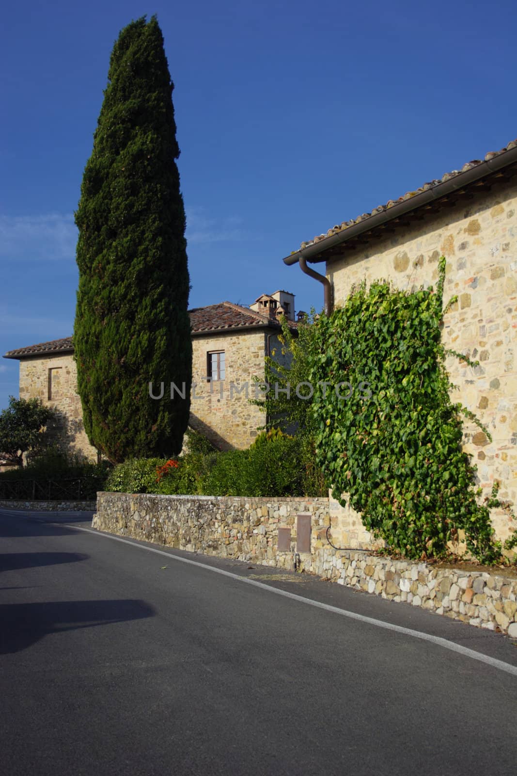 Farm houses, farmhouses in Tuscany, Tuscan villas, cypresses, farm, farm, farmland, holiday, house, Italy, carlo sarnacchioli,  landscape, farm, rural, travel, trees, house, places,