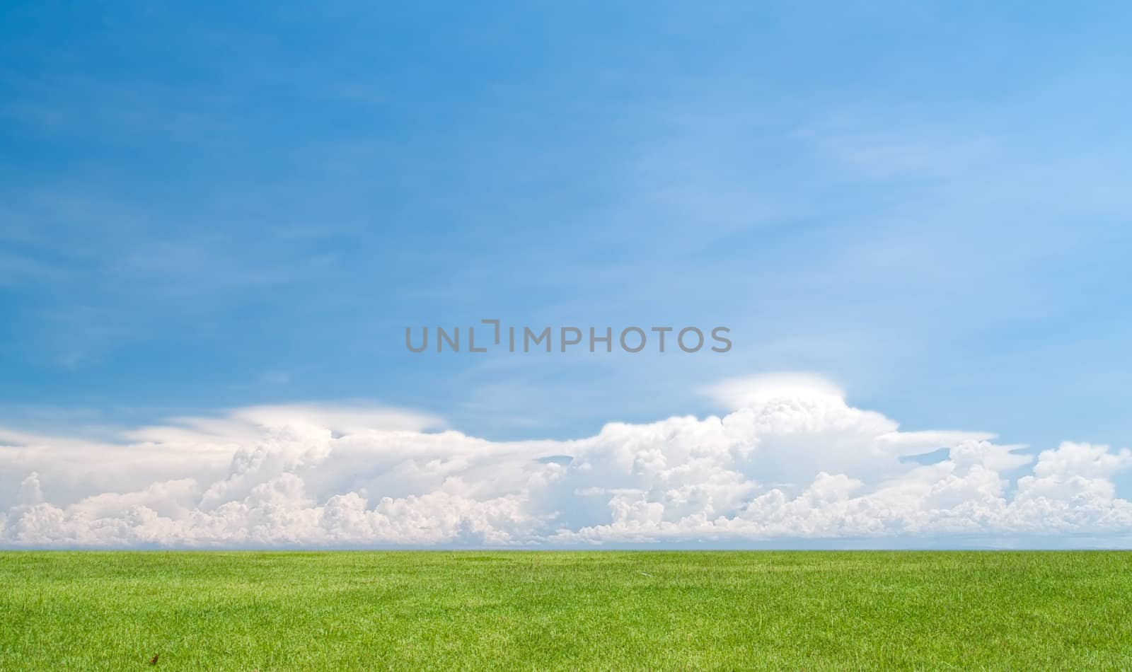 Beautiful cloud over field of green meadow