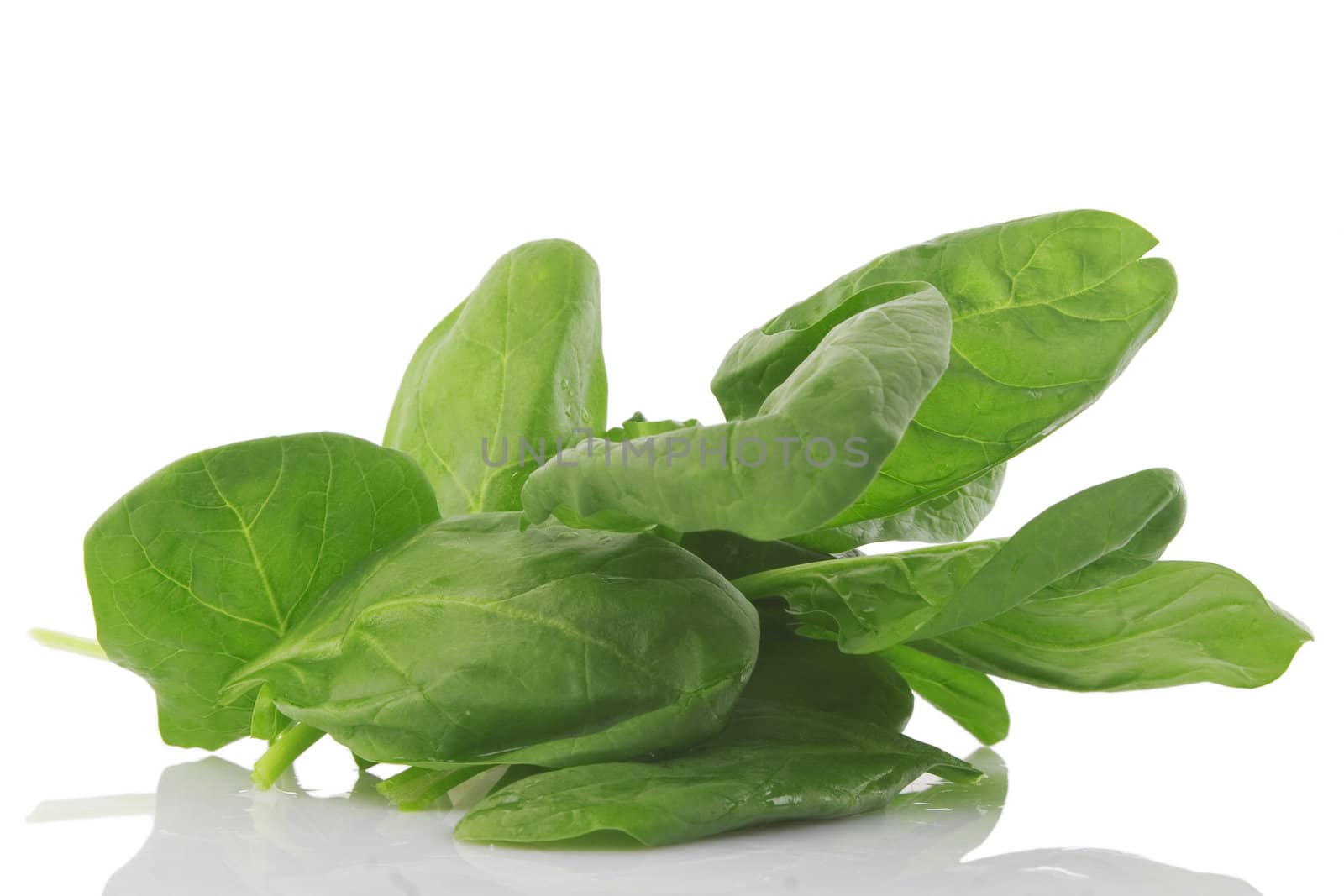front view of fresh spinach on white background, vegetarian food