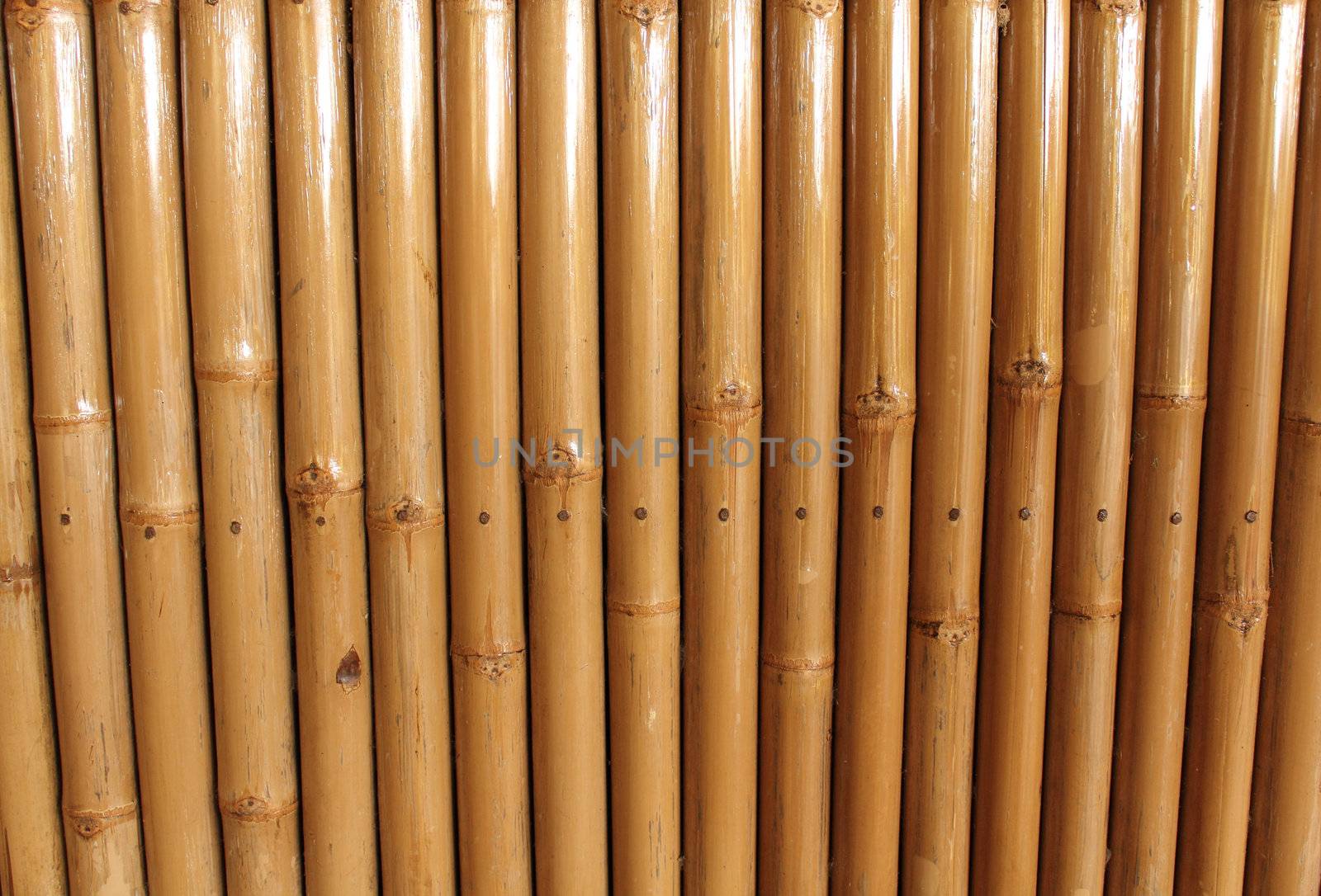 Bamboo wall by olovedog