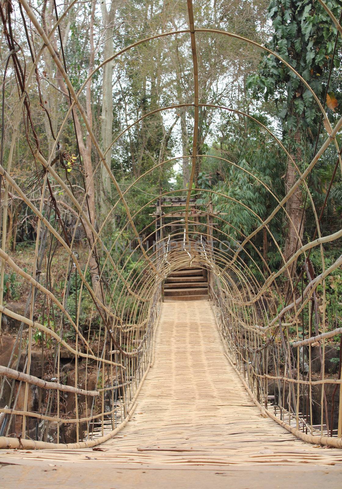 Suspension bamboo bridge by olovedog
