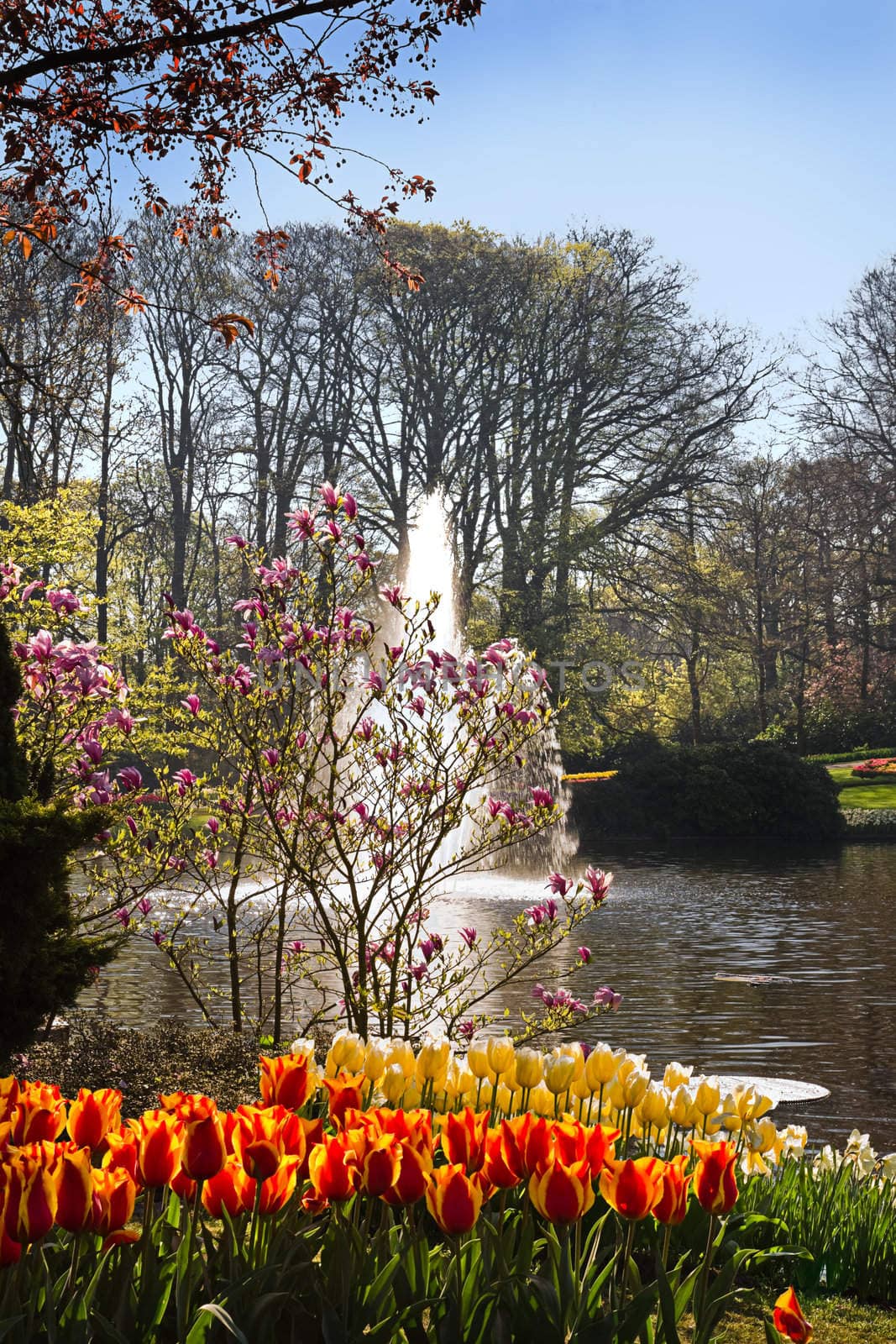 Pond in park with springflowers by Colette