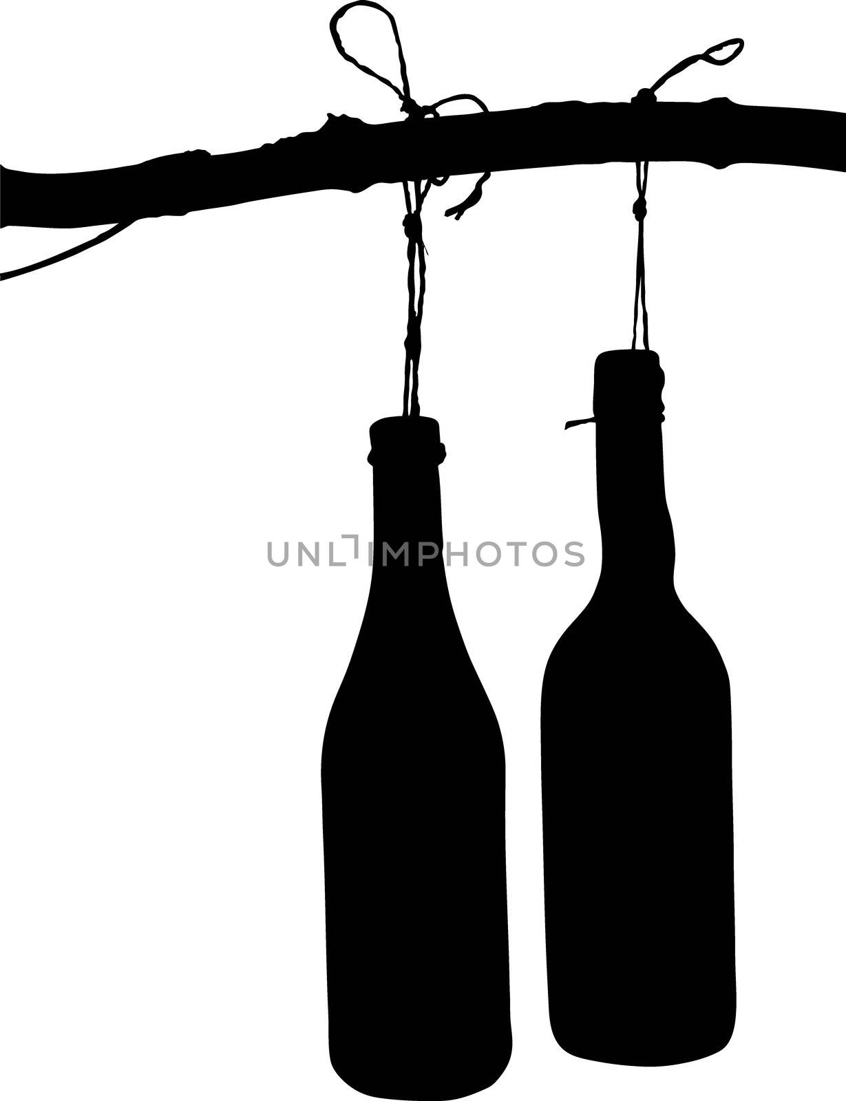 Vector Illustration:  bottle
