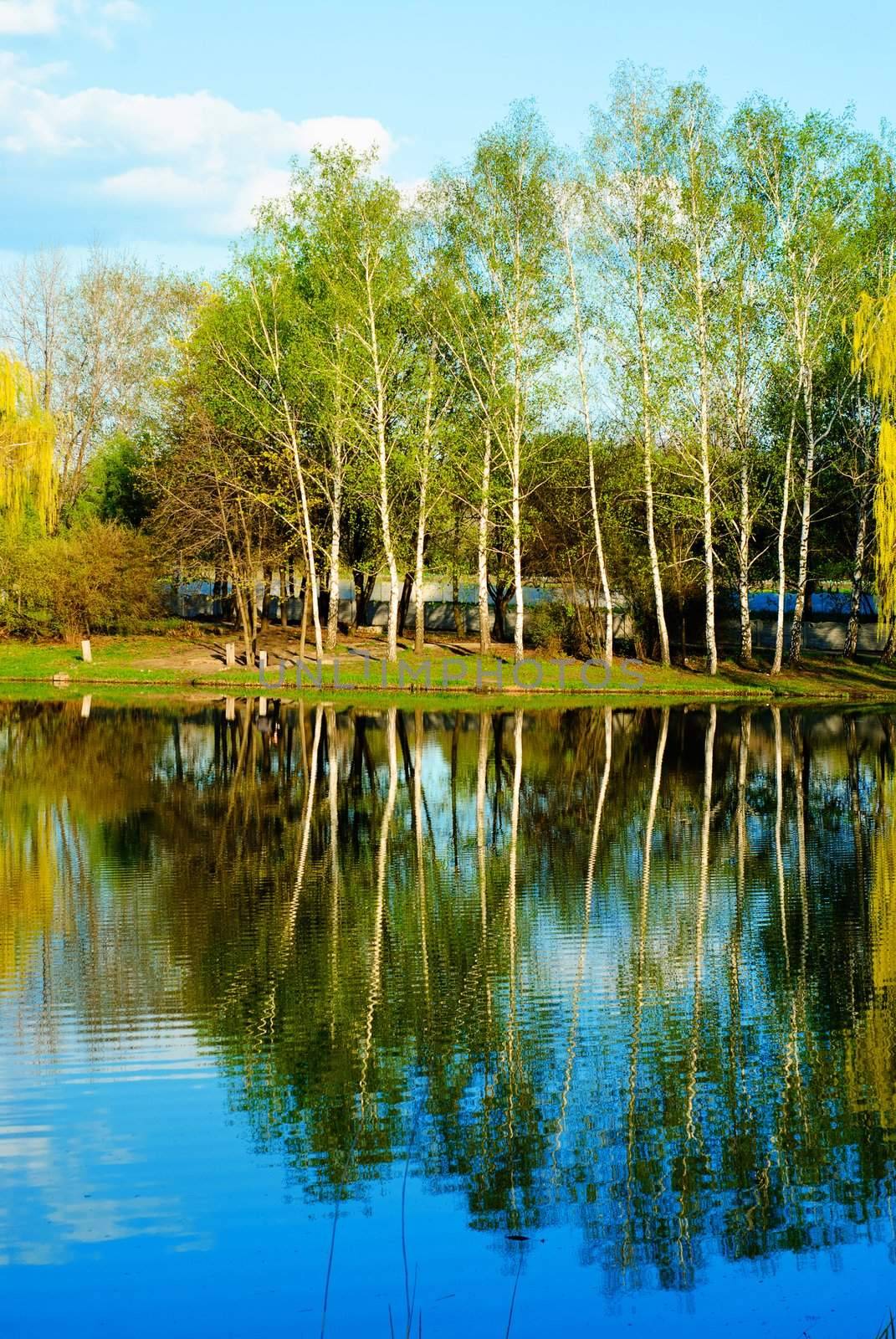 Landscape with trees reflected in pond