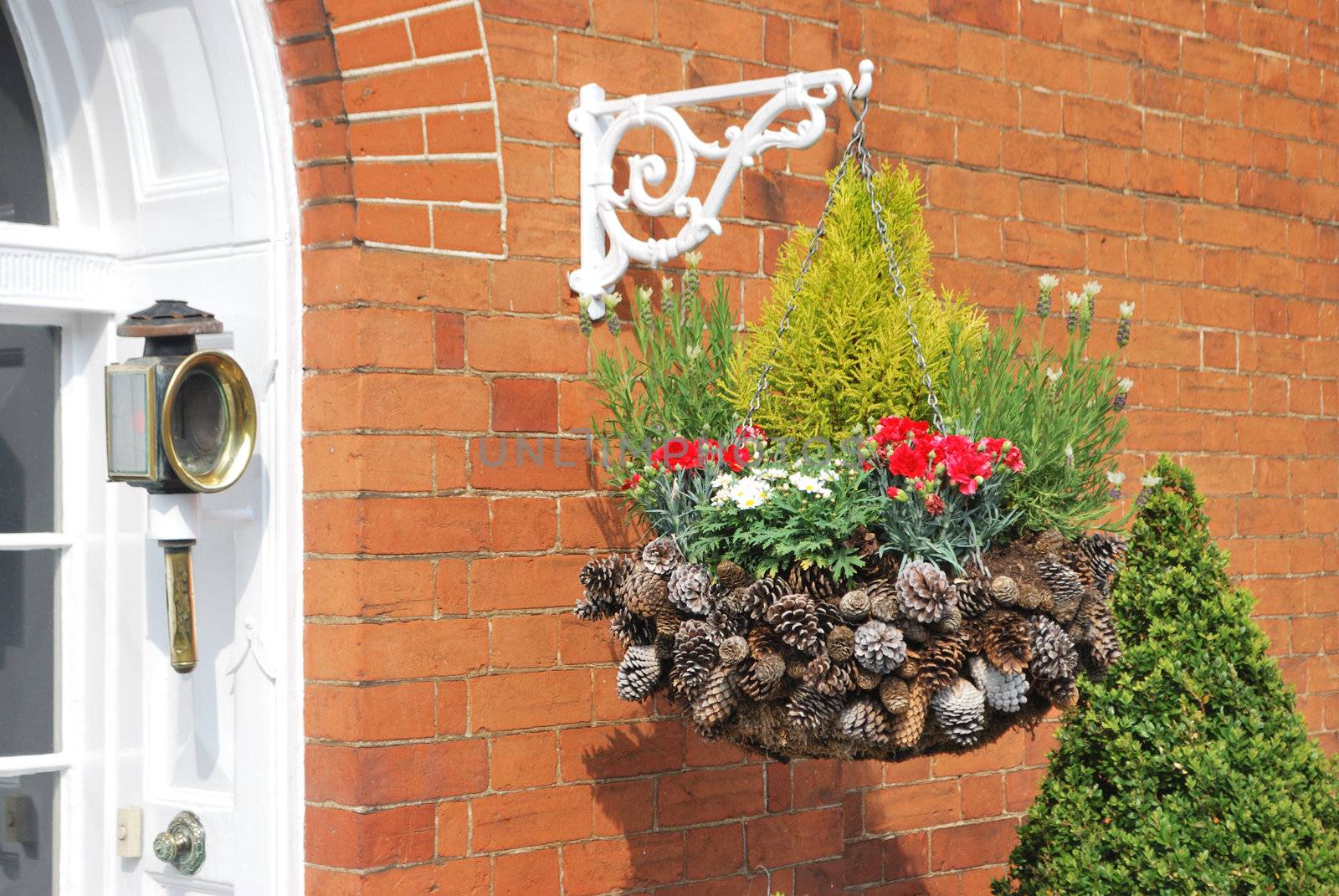 Traditional English hanging basket