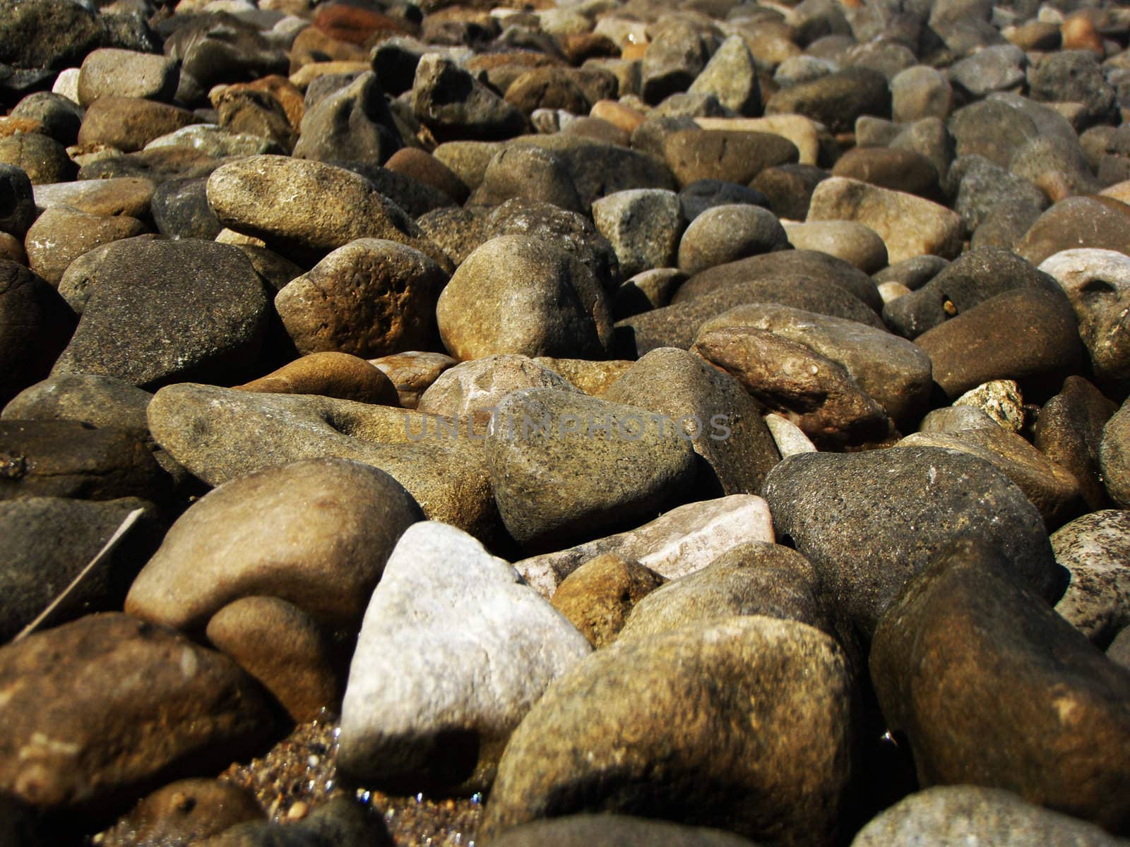 The stones on the beach photographed up close.