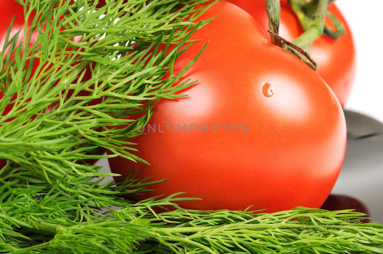 Tomatoes on a black plate with dill. Isolated on white.